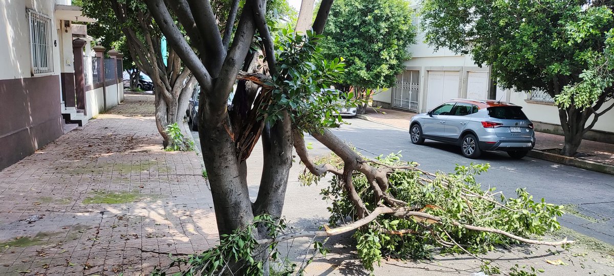 Colonia Periodista tweet media