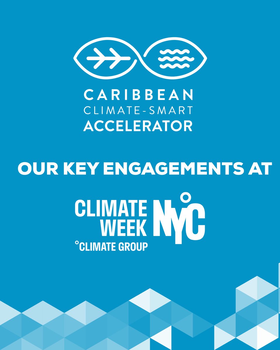 Racquel Moses tweet media