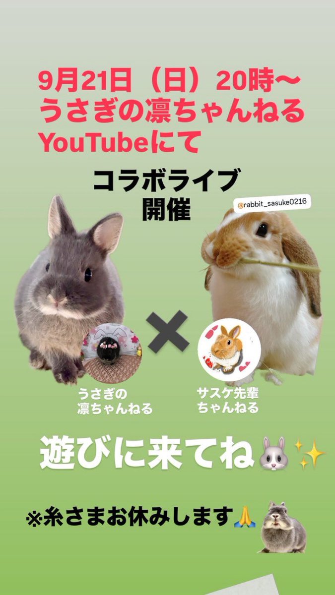 うさぎりんページ うさぎの凛🐰心の処方箋 (@usaginorinn) / Posts / X