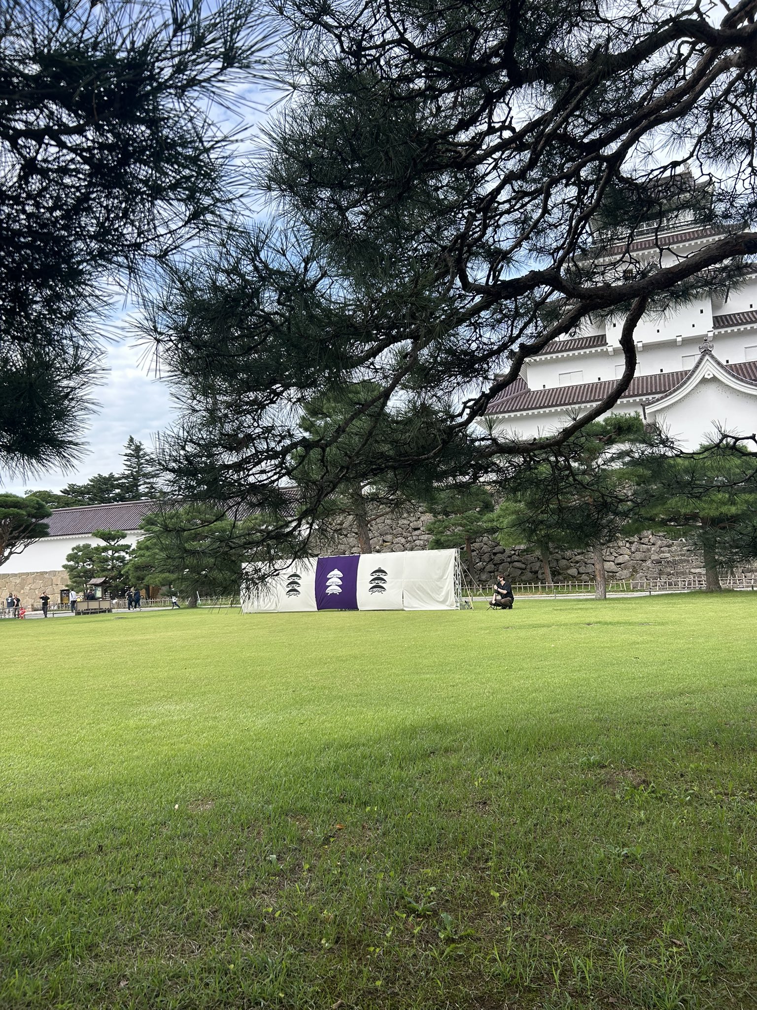 98居眠りの狐　キツネ　ラオス石　巧色　美品　印材　印石　落款　書道　雅号 イラストレーターの落款印「碧天」 | 注文篆刻 (落款印・雅号印