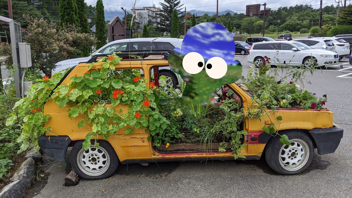 dreams learn to root where motion once lived

MR. WORLD