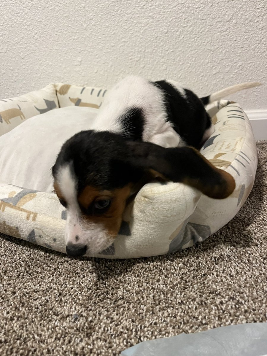 katylorenaa's tweet image. #lately