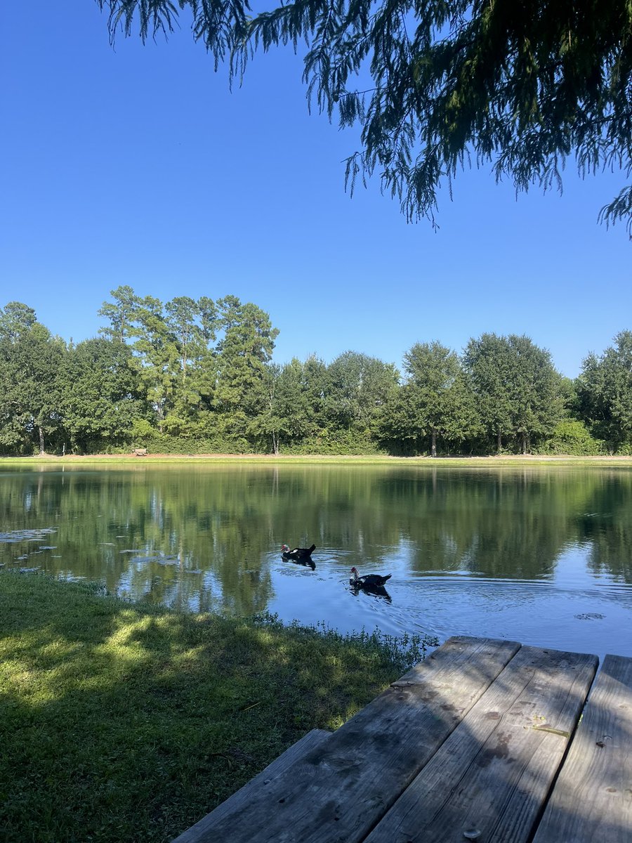 katylorenaa's tweet image. #lately