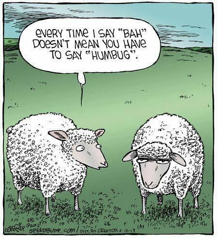MtnMeadowWool's tweet image. At Mountain Meadow Wool, we find joy in every step, ensuring quality and satisfaction. 🐑🧶🌾✨ Wishing you a cozy weekend! Keep crafting! #FridayFunny
 #MountainMeadowWool #SheepHumor #CraftingJoy