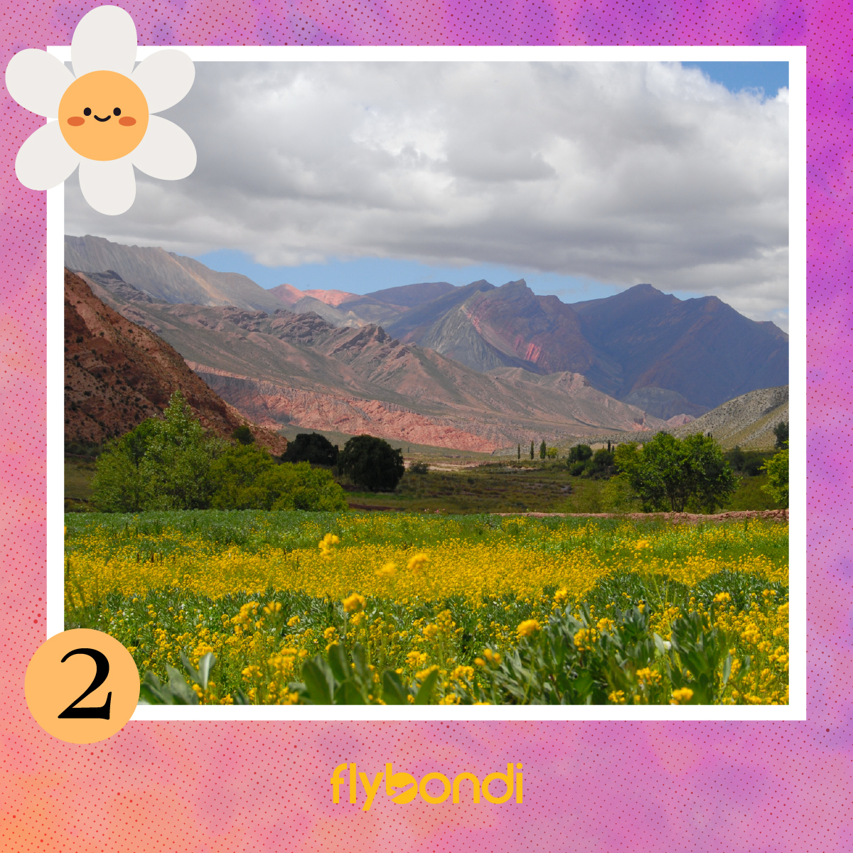 flybondioficial's tweet photo. Te mostramos un paisaje lleno de flores y colores… ¿sabés de dónde es?🌸

Aprovechá el código PRIMAVERA con un 25 % de descuento para vuelos nacionales y disfrutá de estos destinos en primavera🌷💛

FLYTIP: Tenes hasta 10% OFF en vuelos inter😉

#Flybondi #LaLibertadDeVolar #DiaDeLaPrimavera