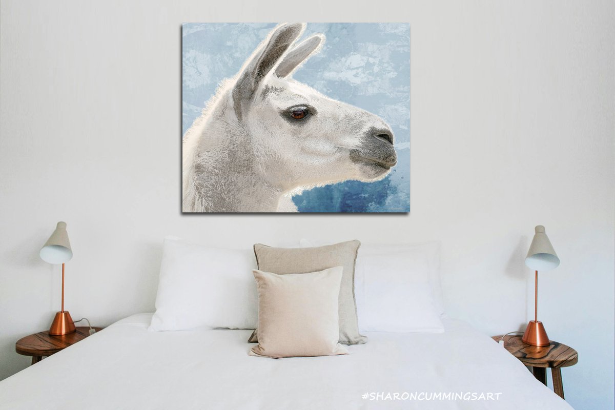 Terracegallery's tweet image. Soft White Llama Art fineartamerica.com/featured/soft-… #llama #llamas #animals #farmhouse #farm #peru #peruvian #southamerica #southamerican #cute #fun #art #artwork #SharonCummingsArt #buyintoart