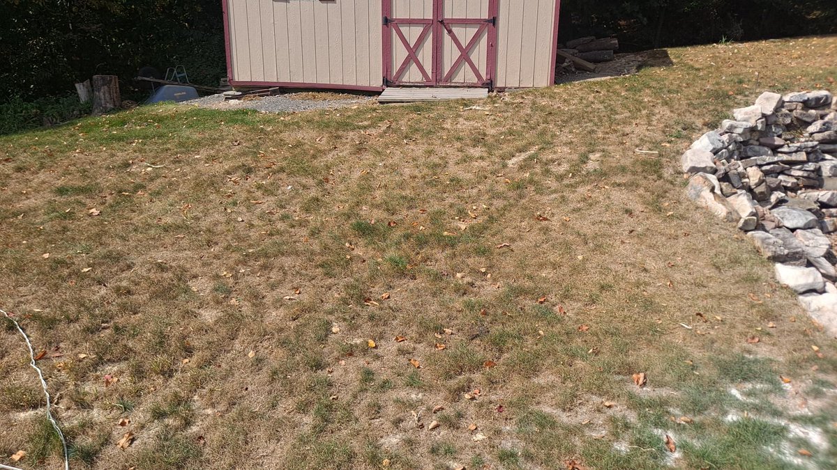 After a hot, dry PA summer, your lawn’s probably begging for help.
September can be the perfect time to overseed, aerate &amp; feed it back to life.
Cooler temps + fall rains = prime recovery season.
Let’s get that green back.