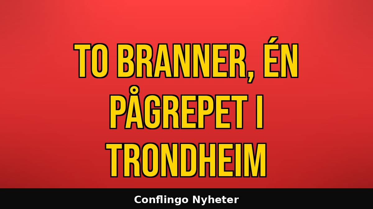 conflingo tweet media