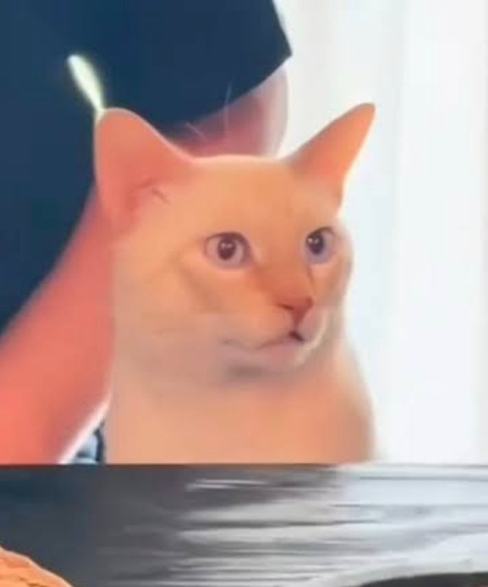 Hay unas personas discapacitadas grabando un tiktok con lengua de señas en la parada del autobús y toda la raza en completo silencio así de: