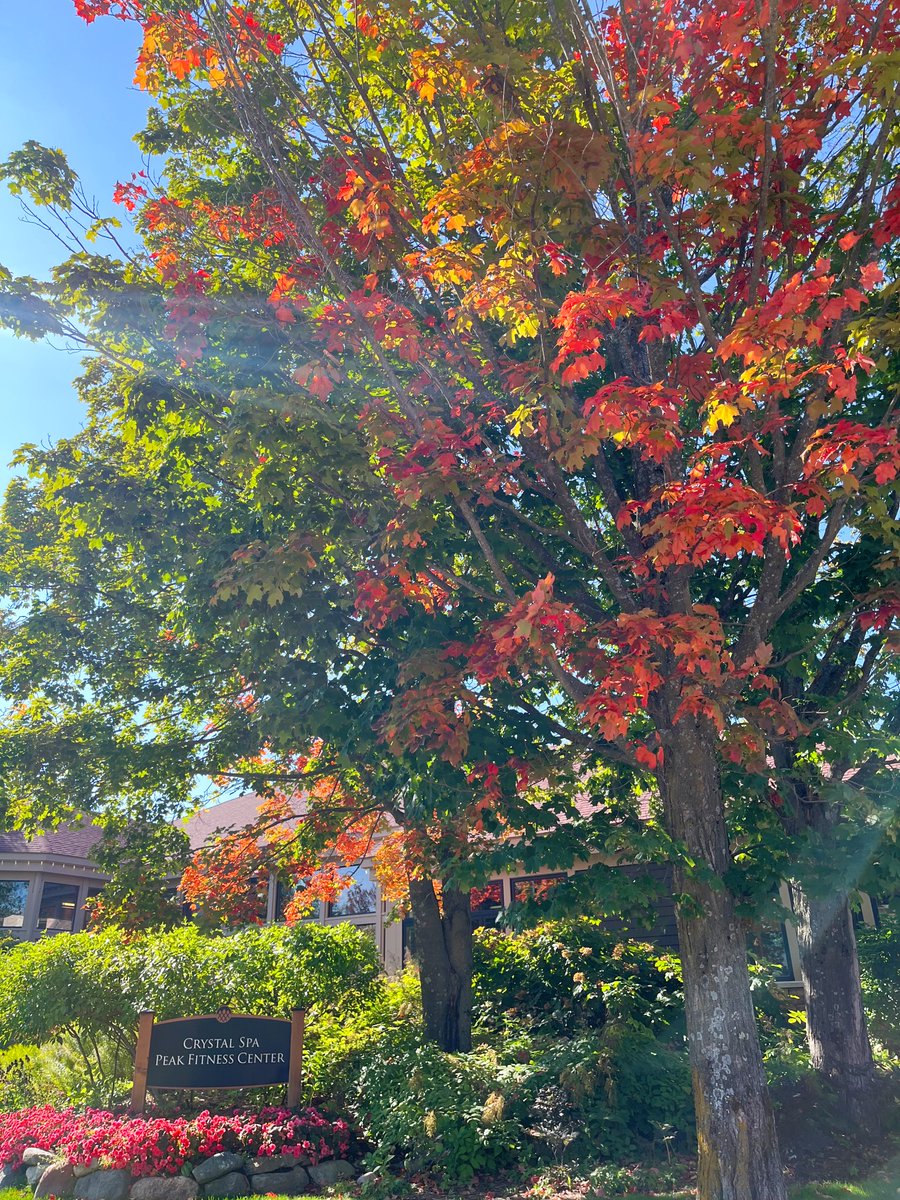 CrystalMountain's tweet photo. Itโs happening!! The fall colors are starting to make an appearance throughout the resort, and needless to say, it is beautiful. Come see the colors for yourself! ๐๐
#FallColorFriday #CrystalColor #FallColors #MichiganFall #benziecounty #crystalmountainmi #puremichigan https://t.co/pUKUxfgdoD