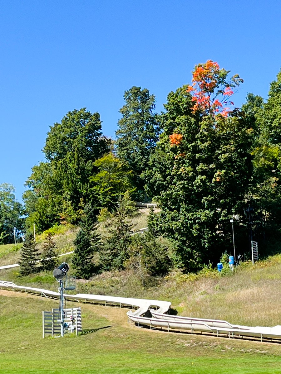 CrystalMountain's tweet photo. Itโs happening!! The fall colors are starting to make an appearance throughout the resort, and needless to say, it is beautiful. Come see the colors for yourself! ๐๐
#FallColorFriday #CrystalColor #FallColors #MichiganFall #benziecounty #crystalmountainmi #puremichigan https://t.co/pUKUxfgdoD