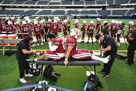 Matt Mitchell tweet media