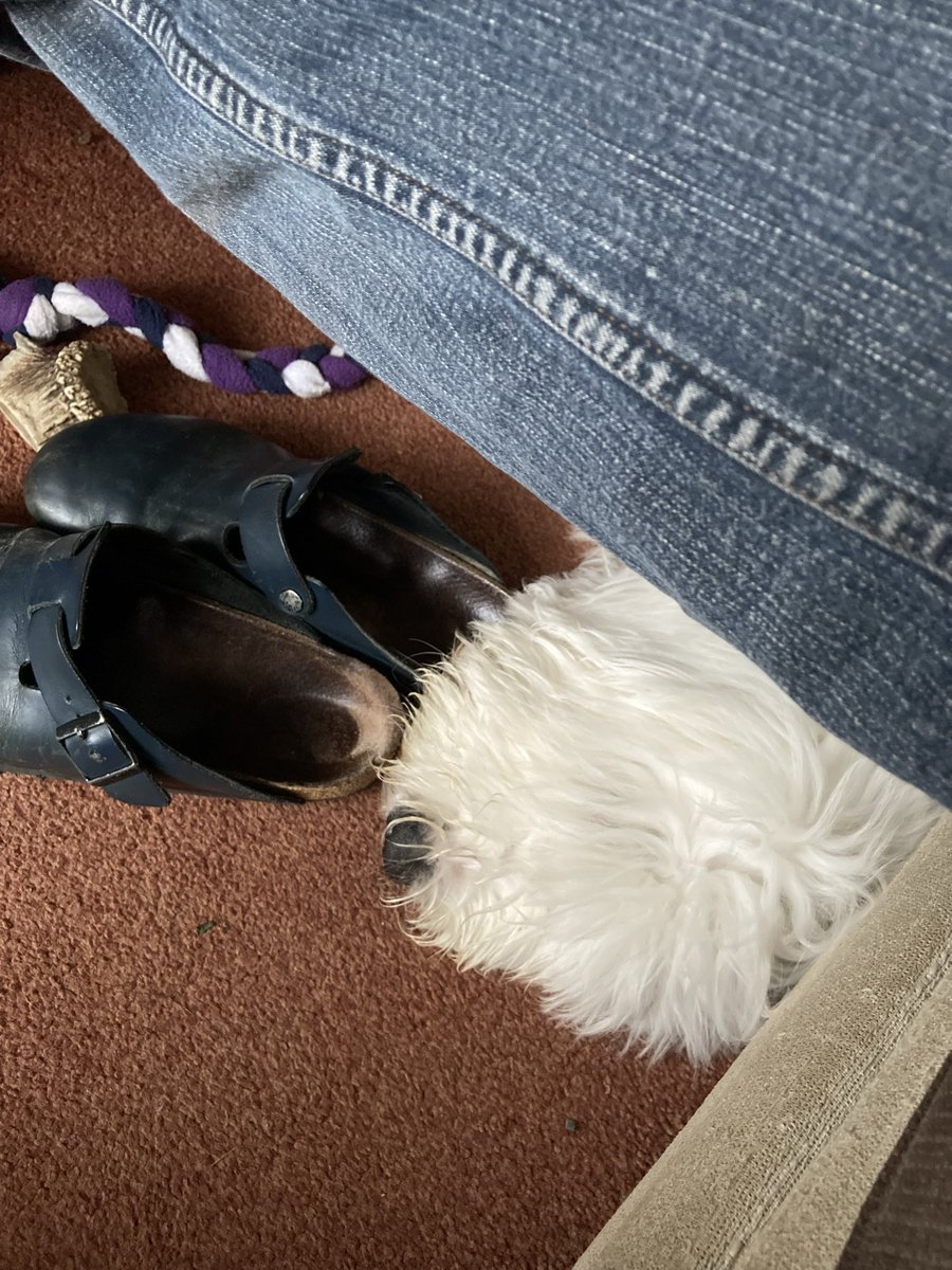 Staying close to hudad for tonight’s Netflix. #FridayFeeling 🐶🎞️📺