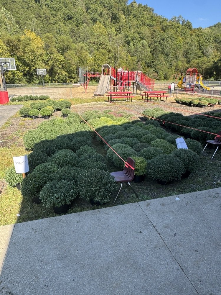 Porter Elementary School tweet media