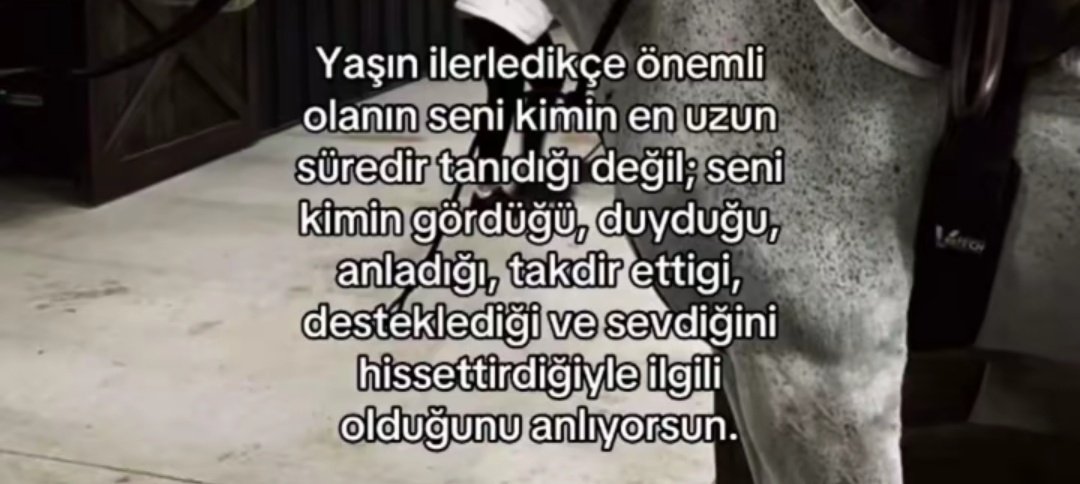 maide (@madocumm) on Twitter photo 