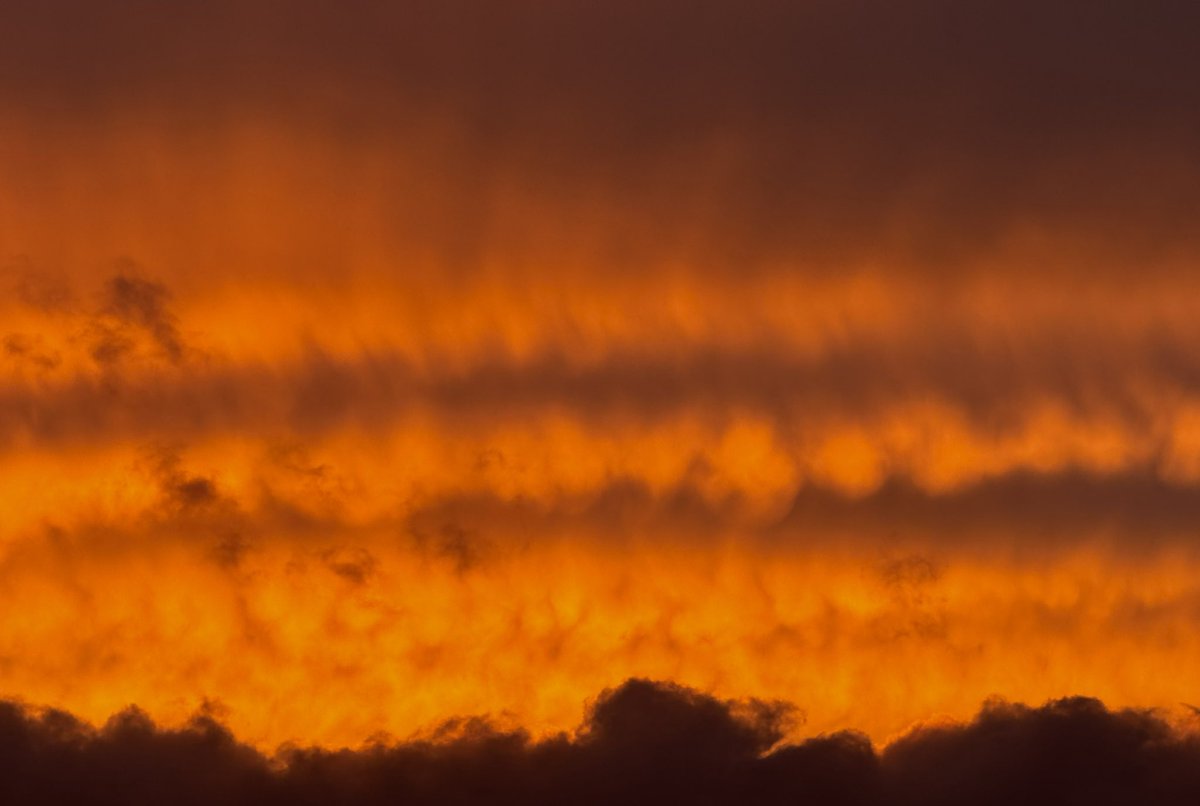 More photos of the amazing vibrant orange sunset colours tonight 😍🫶🏻🧡 The sky was on fire overlooking Donegal 🔥<a href="/bbcniweather/">BBC NI Weather</a> <a href="/UTVNews/">UTV Live News</a> <a href="/Louise_utv/">Louise Small</a> <a href="/barrabest/">Barra Best</a> <a href="/WeatherCee/">Cecilia Daly</a> <a href="/geoff_maskell/">Geoff Maskell</a> <a href="/StormHour/">#StormHour</a> <a href="/deric_tv/">Deric</a> <a href="/Ali_Totten/">Ali Totten</a> <a href="/LynnParsonsUK/">Lynn Parsons</a> <a href="/LoveBallymena/">Love Ballymena</a> <a href="/Schafernaker/">Tomasz Schafernaker</a>