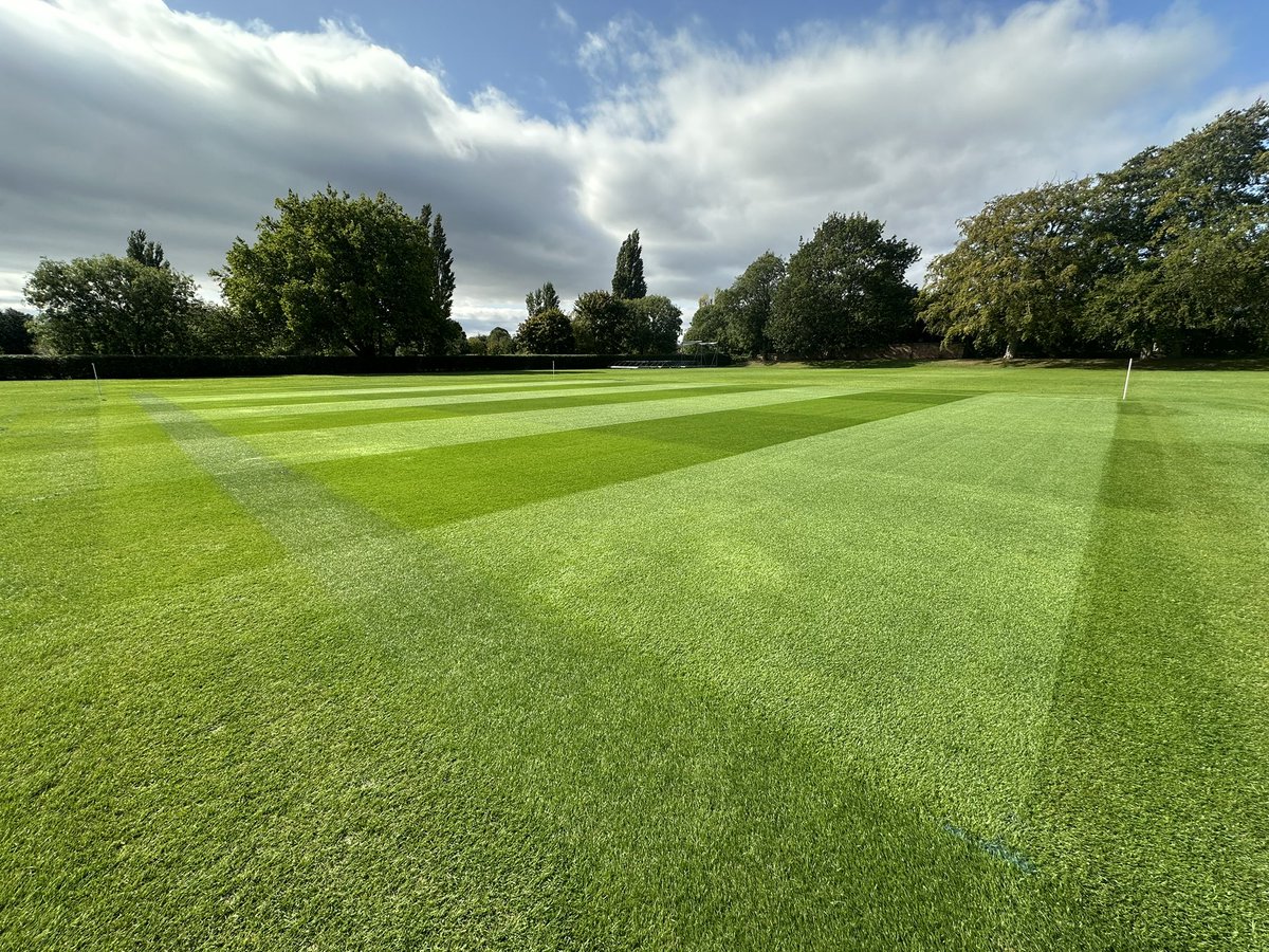 Callum Hall tweet media