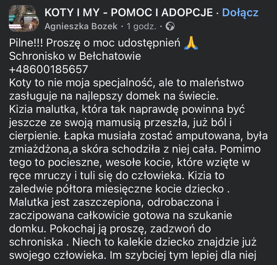 Ka SzaLew 📚 tweet media