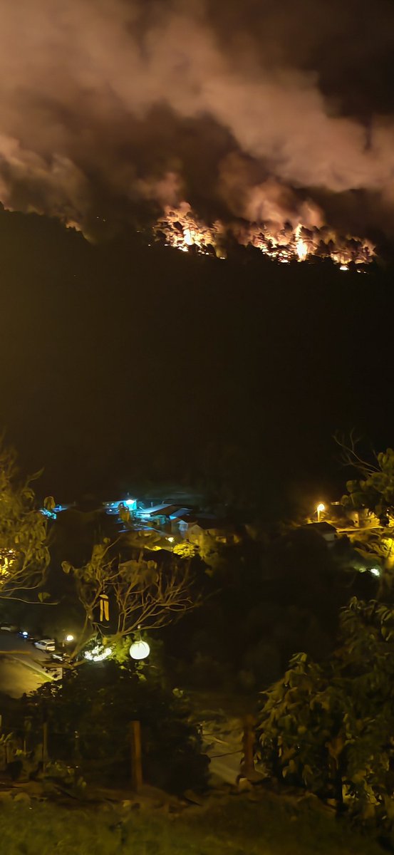 Jose Antonio Lopez tweet media