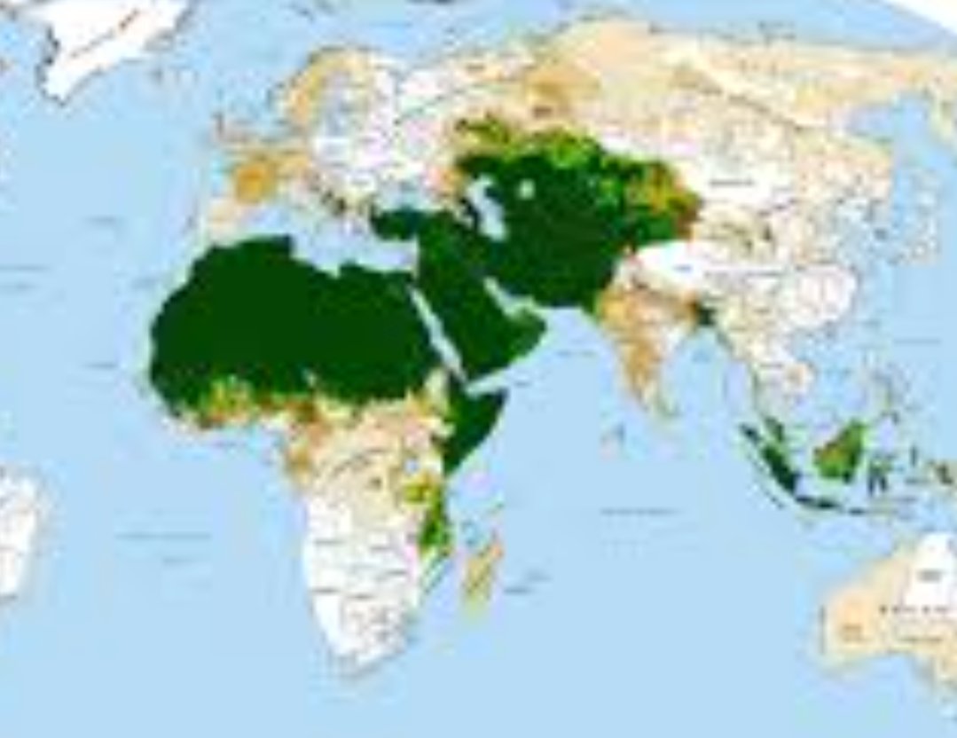 JustinTymACGIII's tweet image. I boycott the greatest Colonizers that have ever walked the earth, Islamic empires.

Read the #OttomanArchives look for yourself at what was done from IRAN TO GREECE.
Men were slaughtered &amp;amp; women sold as sex slaves for hundreds of years across 100&apos;s of conquests
#LearnFirst