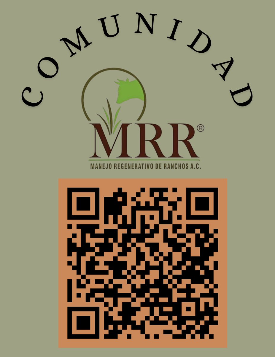 mrrmexico's tweet photo. https://t.co/5WZHrCaAkX https://t.co/weve63CS6P