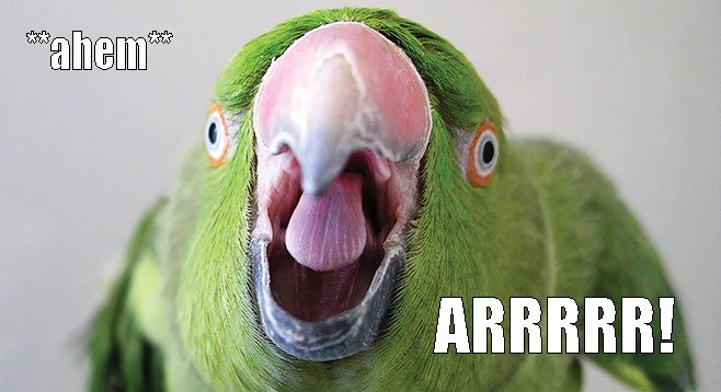 DTMH with <a href="/MollyTheK/">Molly Katelbach</a> on <a href="/weirdsistersnet/">Weird Sisters Network</a> - CABIN FEVER! Talk Like A Pirate! Indies: Joe Rougon, BLACKDOGHAT, The Lounge-O-Leers, Man Behind Tree, Freakwitch, There Be Pirates!  Join in chat!  ~FRIDAY, SEPTEMBER 19, 2025, 11 PM ET / 8 PM PT~ weirdsistersradio.com