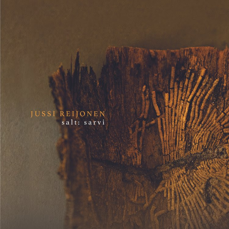 Finnish guitarist &amp; oud player Jussi Reijonen launches sayr, his new solo string series, with sayr: salt | thirst — a haunting, fully improvised meditation on motion &amp; stillness. 🎸🌍 jazzchill.blogspot.com/2025/09/jussi-…
#NewMusic #Jazz #WorldMusic #Guitar #Oud #Improvisation