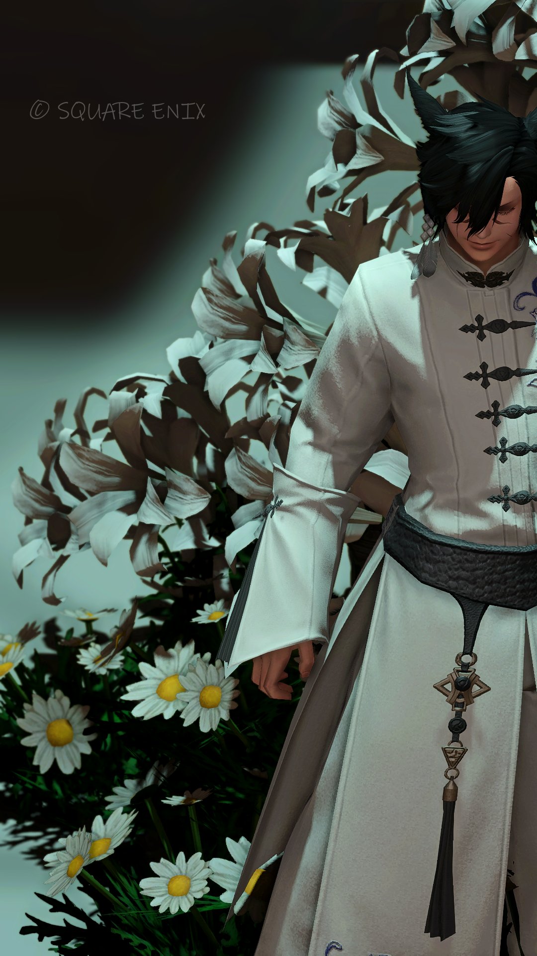 桃の花🍏☽Masamune on X: 