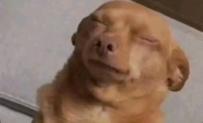 "Day 14: The code doesn’t get easier—I get better.
Every bug is just proof that I’m learning something new....

"But omor bug wan wound me🙂"