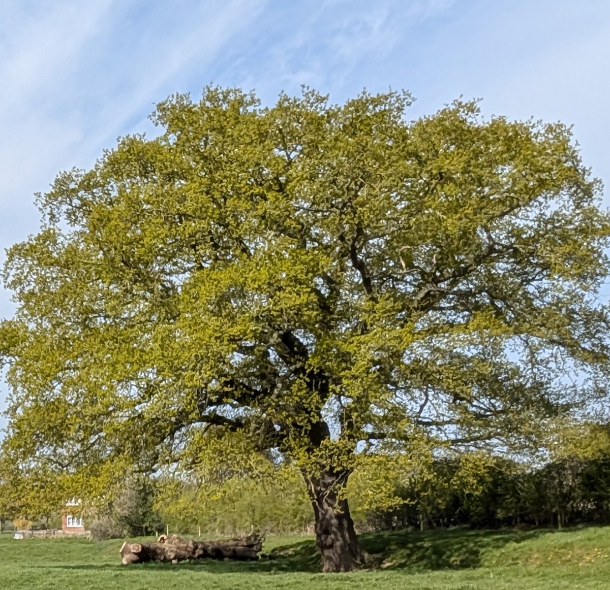 St Ann's Church Warrington tweet media