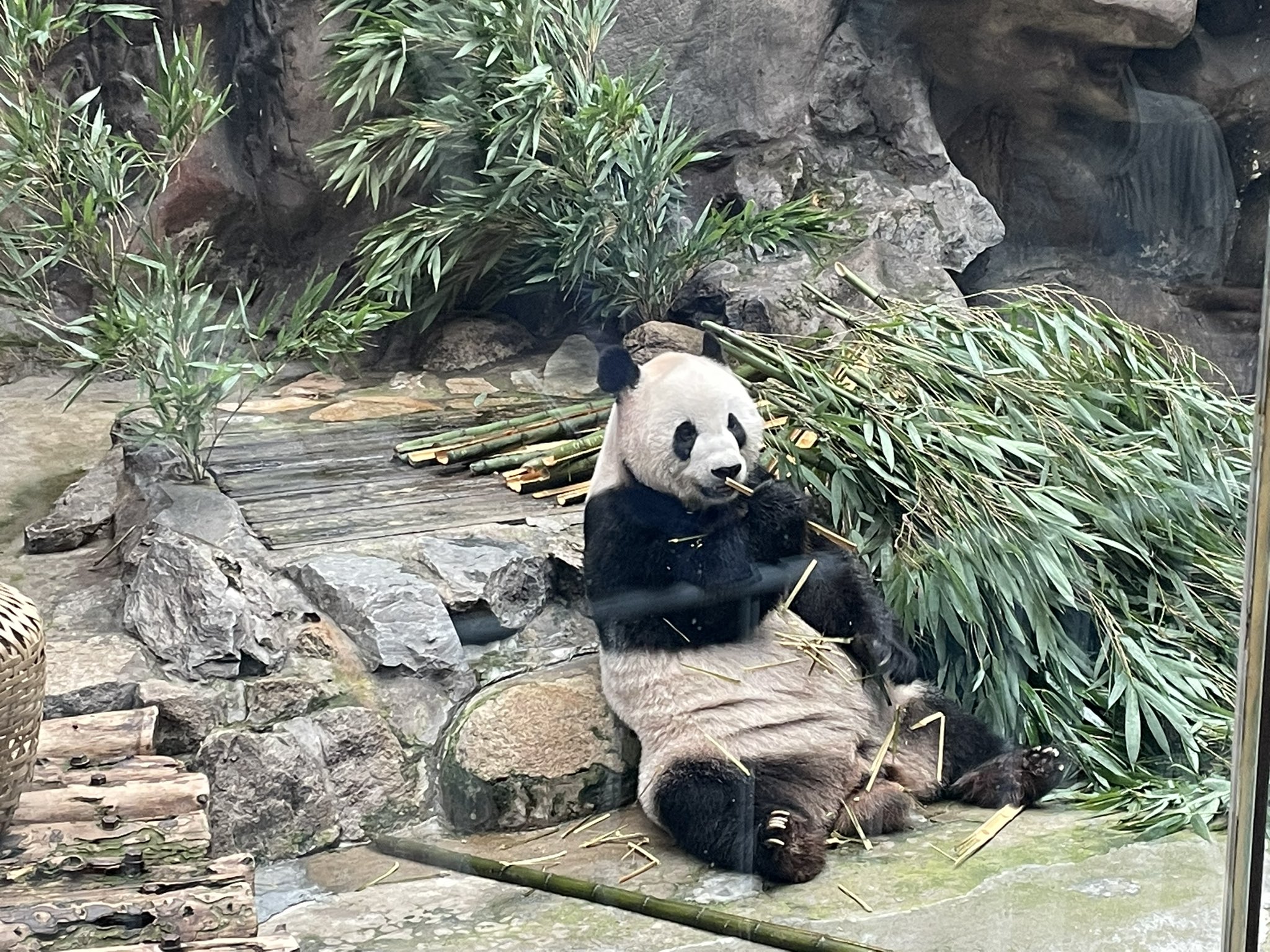 滝澤淳浩 on X: 