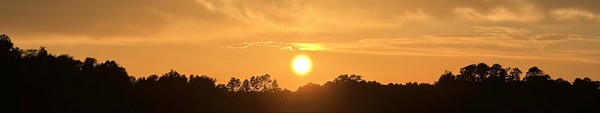 belle (@belleslore) on Twitter photo 