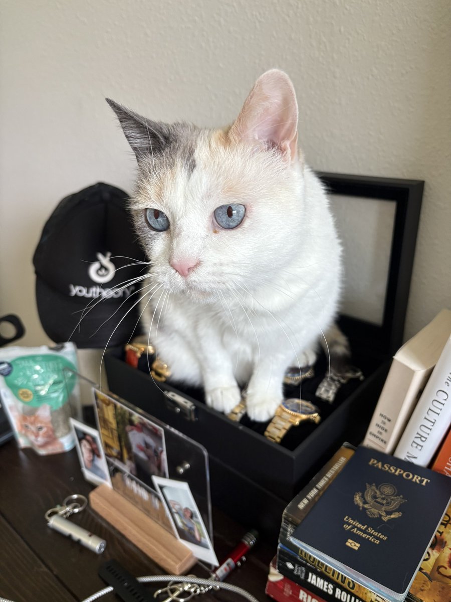 ESL | Pietro (@2easy4pietro) on Twitter photo Timekeeper Timekeeper