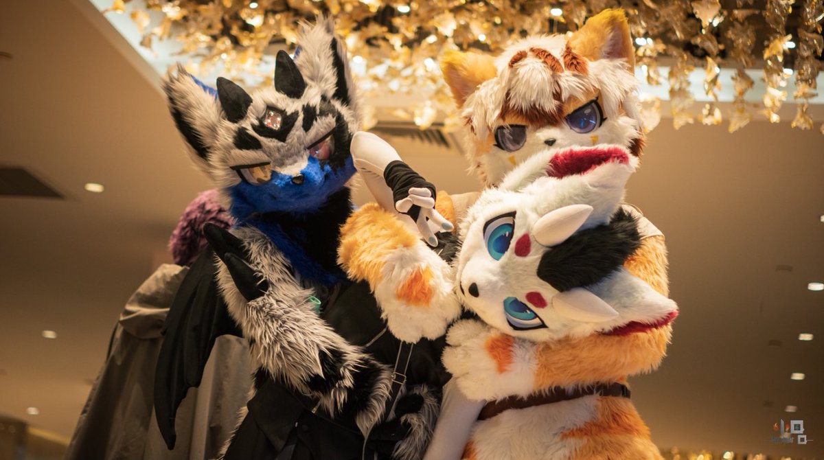 🐉🐶🐱

📷：@小q（蠢比推日常@不到人）
#FursuitFryday
