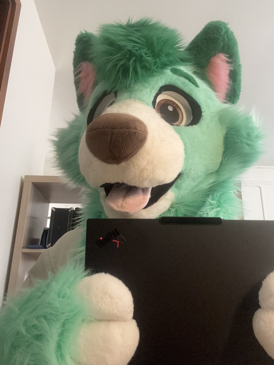 #FursuitFriday with my Lenovo Thinkpad