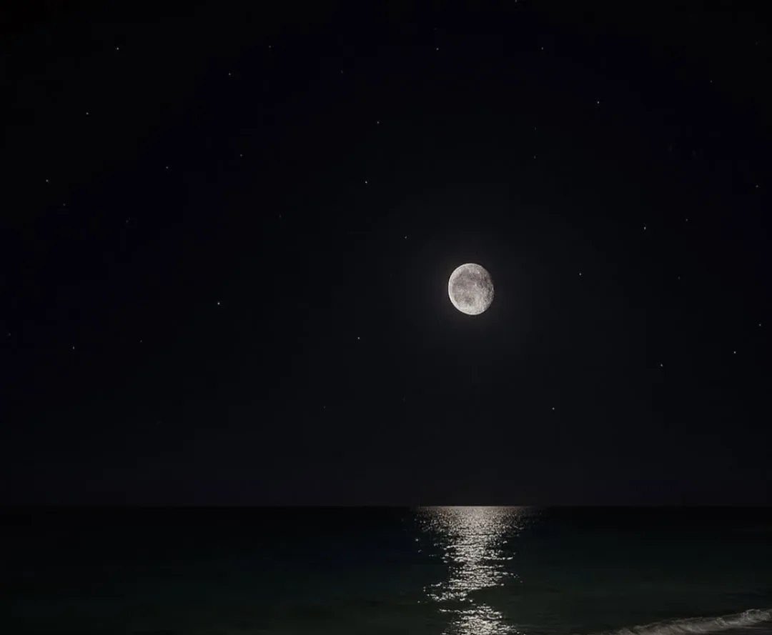 خلها على الله ..

تزين 🤍