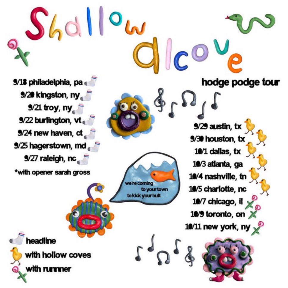 Shallow Alcove tweet media