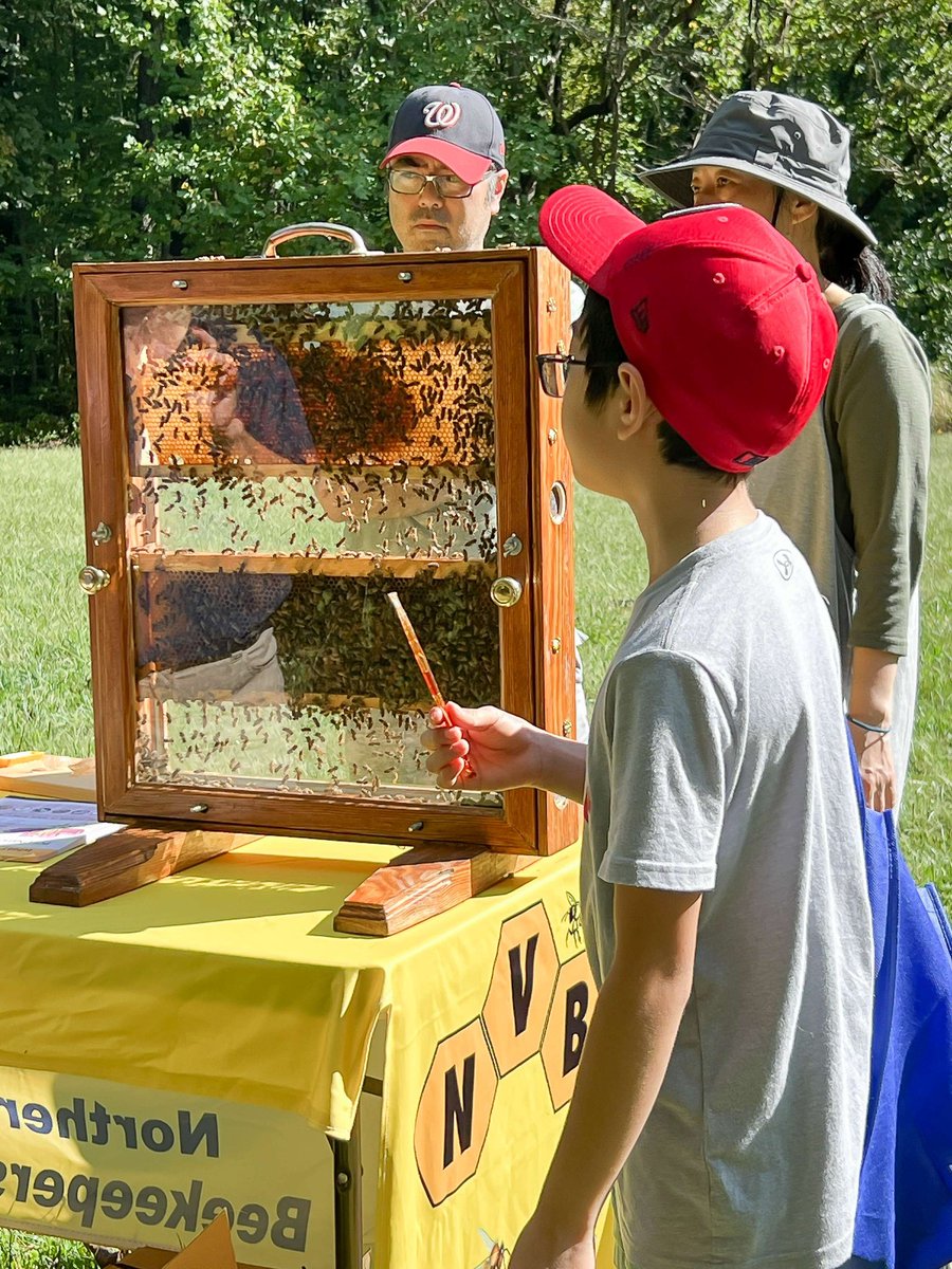 The Annual Bug Fest is this weekend! Join an insect safari, explore live insects, play in soil stations &amp; even make your own bug!

🐛Sept. 20, from 10 a.m.-2 p.m.
🐛Lake Accotink Park
🐛Admission is $10 per person online &amp; $12 at the door

Buy tickets: bit.ly/45ZxrLj?utm_so…