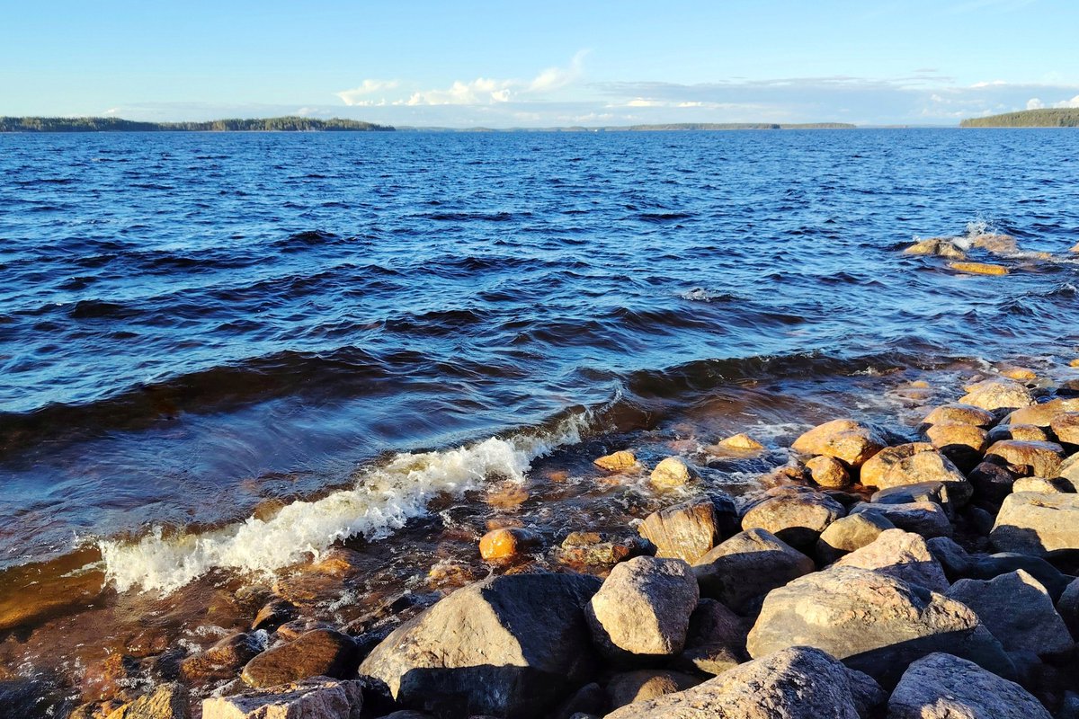 PaulaSaimaalla's tweet photo. Sarviniemen aaltoja. 🌊 #Taipalsaari https://t.co/MCdK9Ov3R0