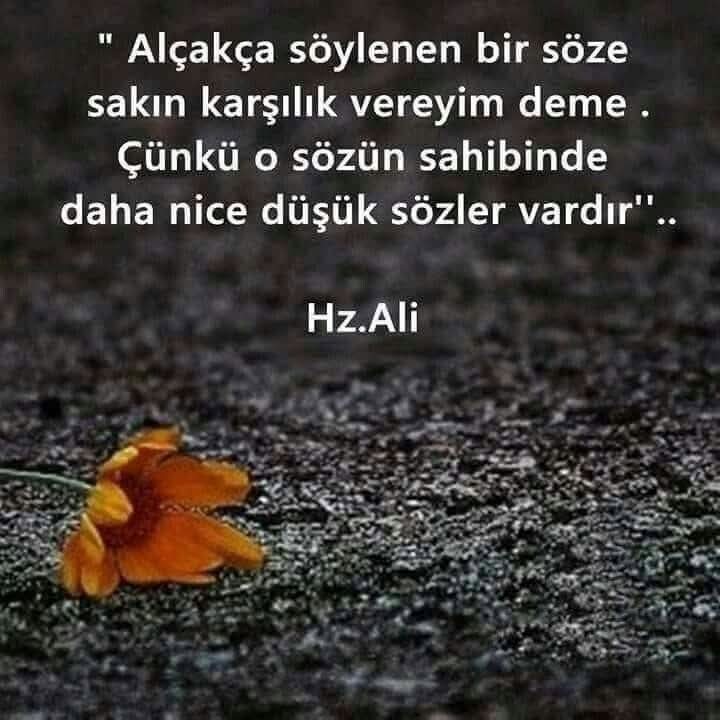 Ali Kemal Yılmaz (@60akemal) on Twitter photo 