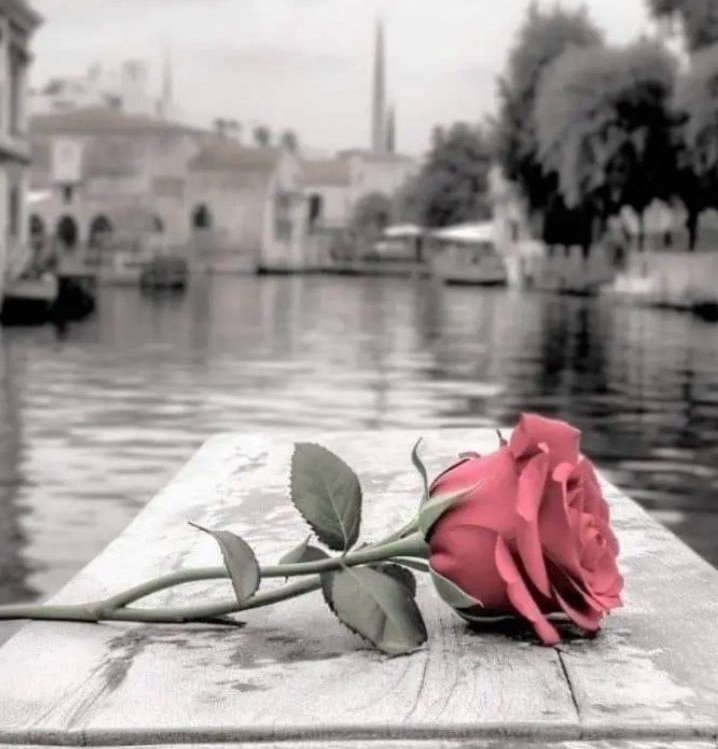 🥀 ..   لا تحاول ..
         ♠️ إنعاش علاقة تحتضر '♠️