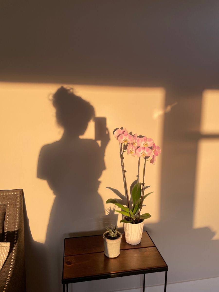 حين تضحكين 
أشعُر بأني ثأرت 
من كل أيامي الحزينة♥️🦋