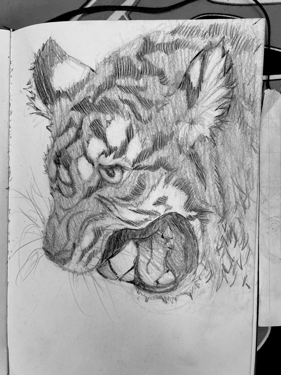 blanks00__'s tweet photo. Man i always have trouble doing true-to-reference studies 😔 https://t.co/P2sErg3uty
