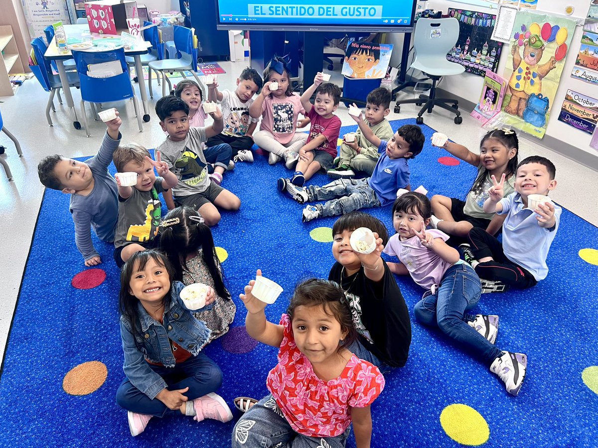 Diana Schnaibli tweet media