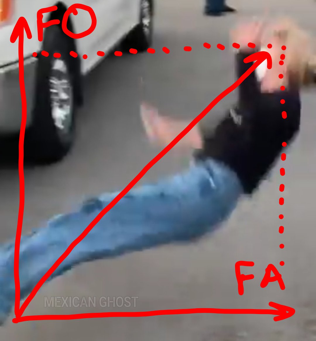 MexicanoGhost's tweet image. Perfect form.  10/10 FAFO