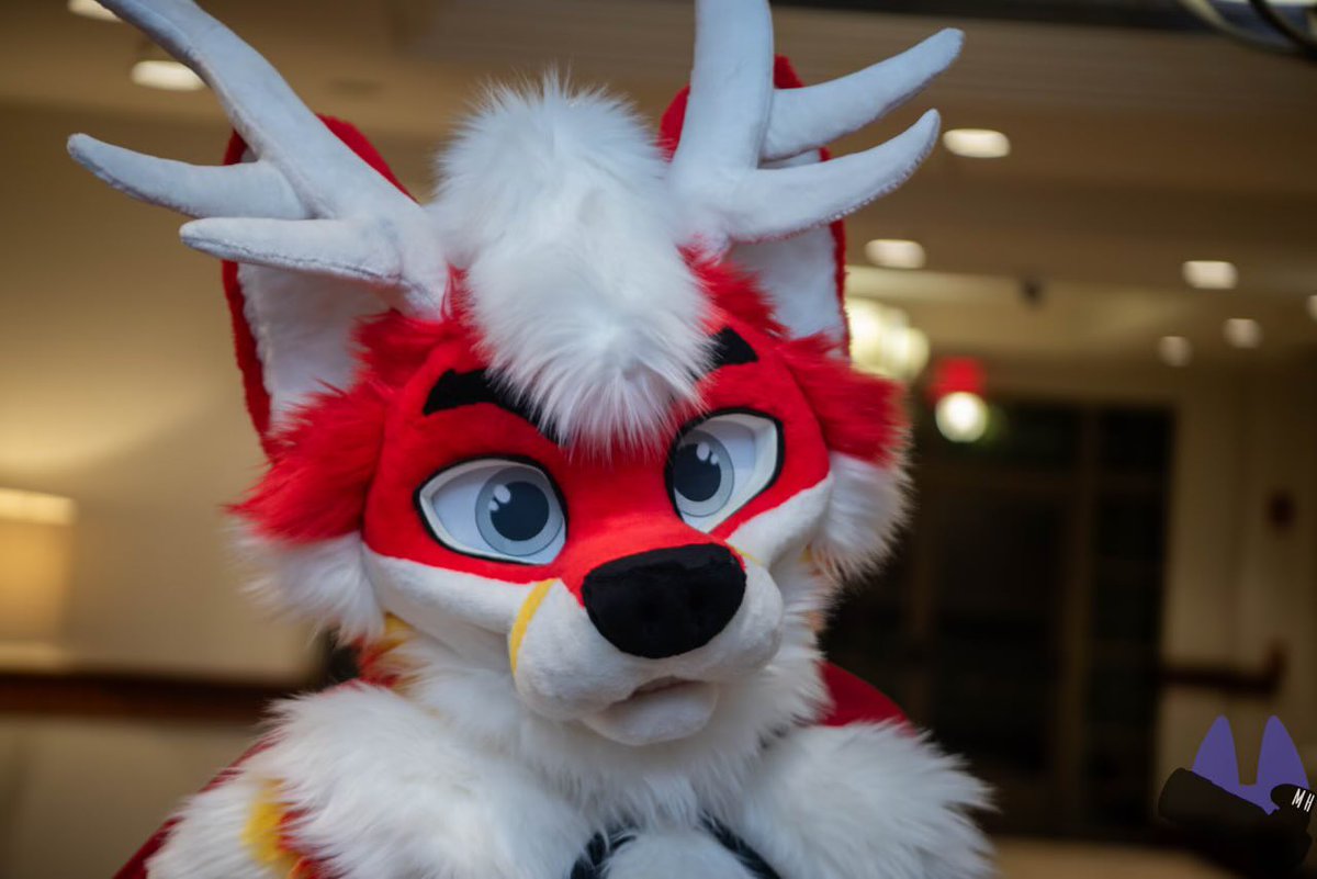 Whitestar tweet media