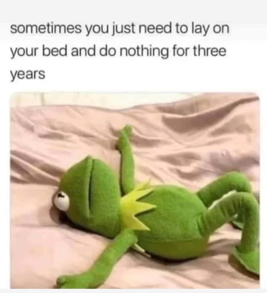 2023 24 25