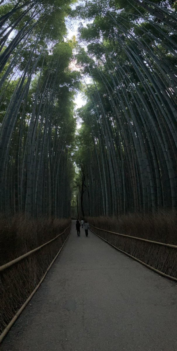 T_Robot_Labo's tweet image. 朝イチの嵐山散策
#キャチロボ