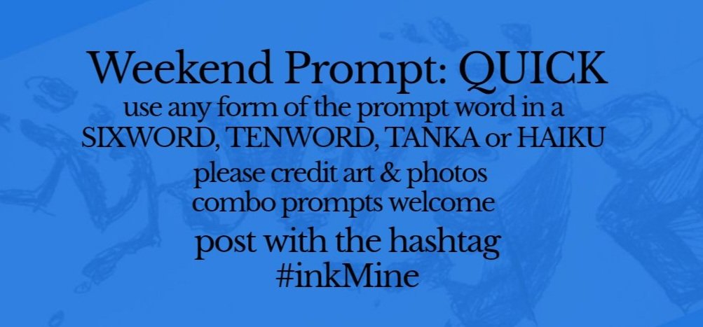InkMineStories's tweet image. mining some ink? spill it
#prompts Sept 19, 2025

Weekend #Prompt - QUICK 
(any form of the word) 
sixword~tenword~tanka~haiku 

post with the hashtag: #inkMine