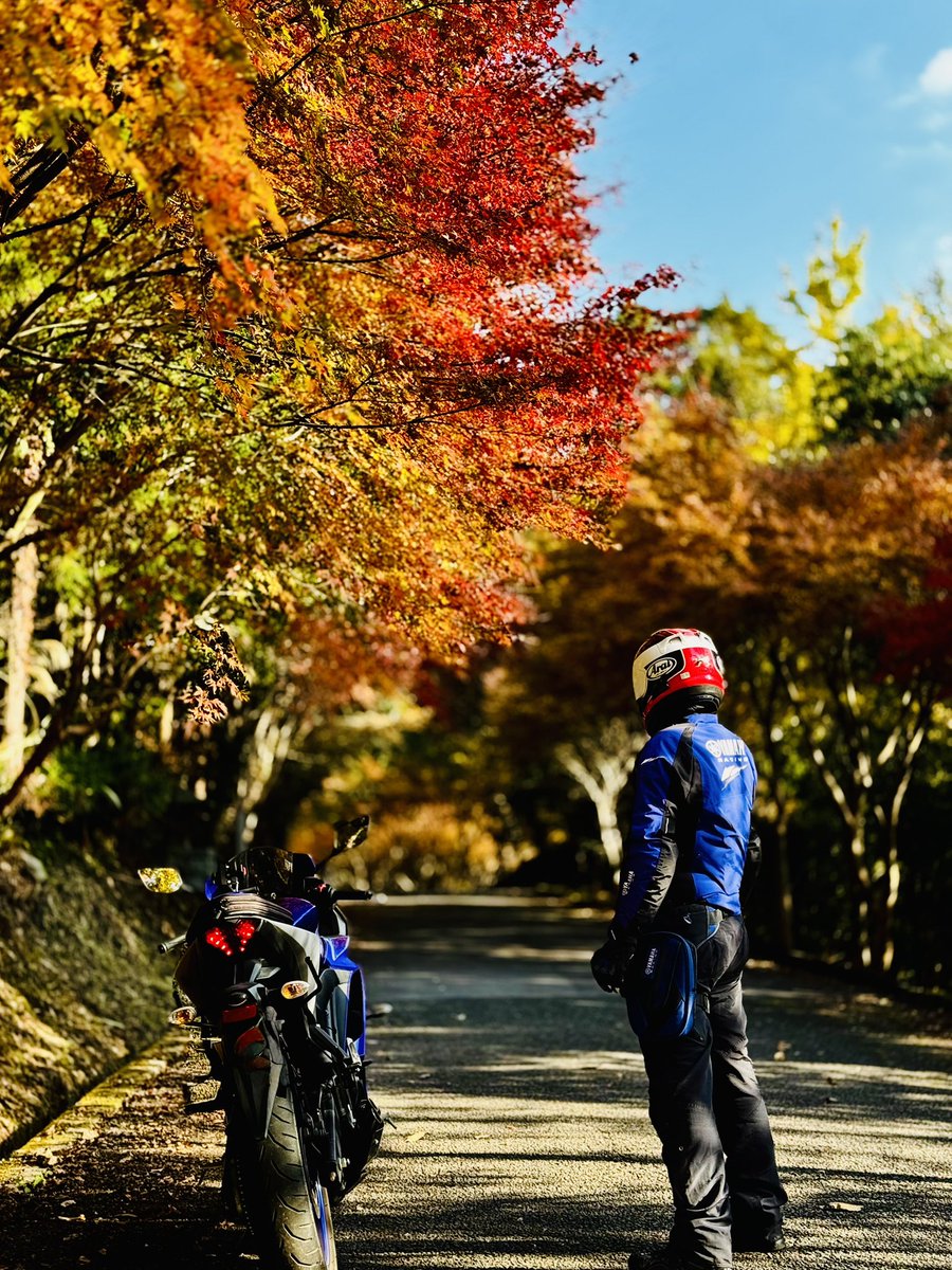 ひこうきぐも Amazon.co.jp: セキグチ(Sekiguchi) ＜いないいないばあっ！＞ ぽぅぽ